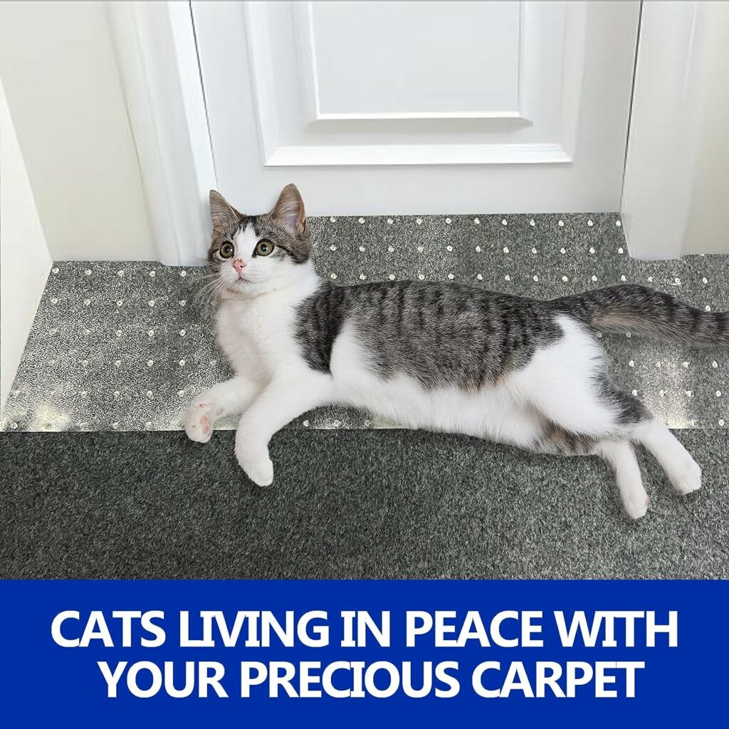 LAFENLIN Cat Scratch Carpet Protector for Pets,Plastic Carpet Protector for Doorway,Non-Slip Easy to Cut Cat Carpet Protector Mat(8.2Ft-Fine Nails) LAFENLIN Cat Scratch Carpet Protector for Pets,Plastic Carpet Protector for Doorway,Non-Slip Easy to Cut Cat Carpet Protector Mat(8.2Ft-Fine Nails)